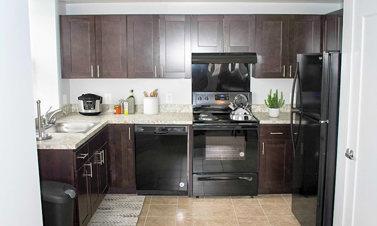 Budget apartments for rent in Reservoir Hill, Baltimore