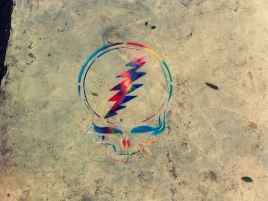 Photo Quiz: Dead Head
