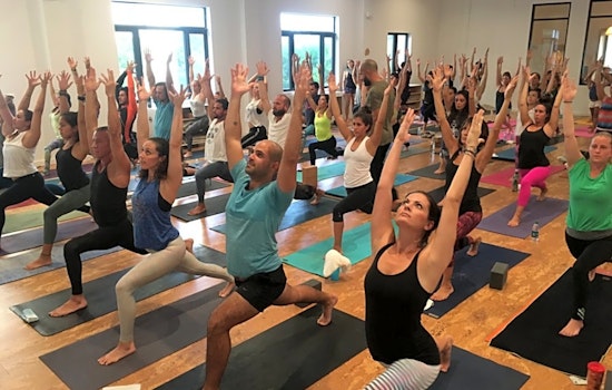 Get moving at Miami's top yoga studios