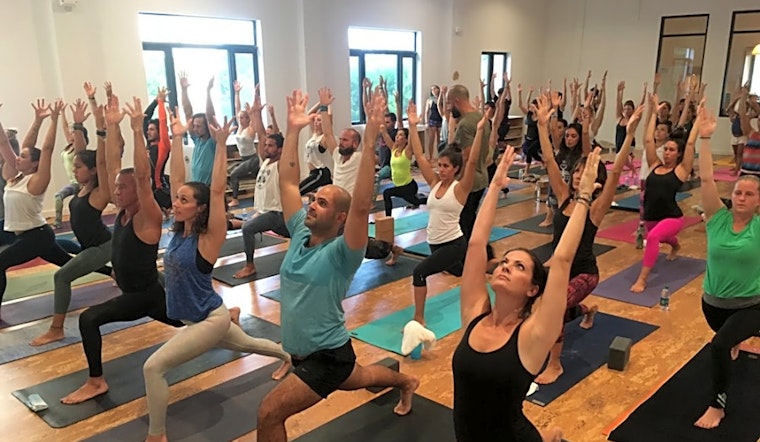 Get moving at Miami's top yoga studios