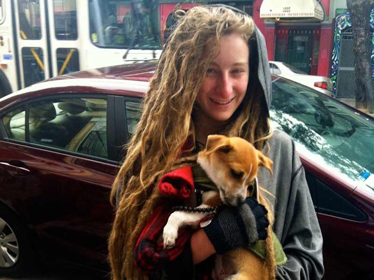 Meet the Street Pups of the Upper Haight