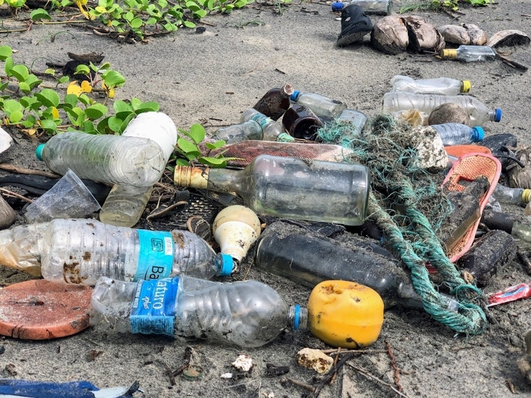 Top Sacramento community news: Activists push to reduce plastic; thousand sat Sanders rally; more