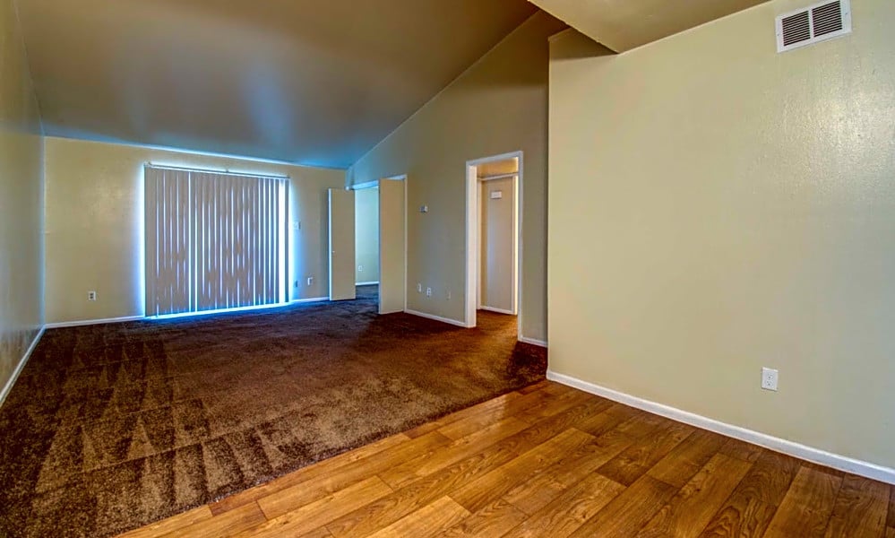 What apartments will 900 rent you in Flour Bluff, today?