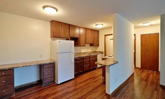 Apartments for rent in Minneapolis: What will $1,000 get you?