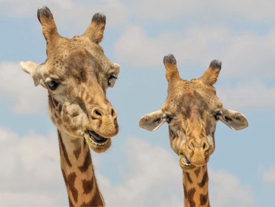 Top Memphis news: Man gets life for killing teacher; zoo lot construction begins today; more