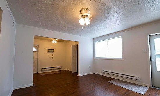 What apartments will $800 rent you in Duncan Park, this month?