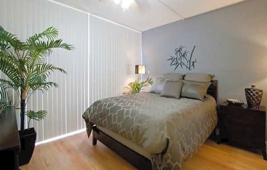 Budget apartments for rent in Kalihi-Palama, Honolulu