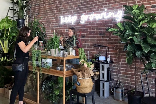 Boulevard Park gets a new plant nursery: Propagate