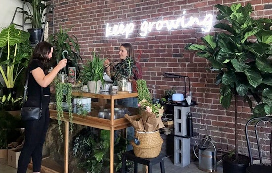 Boulevard Park gets a new plant nursery: Propagate