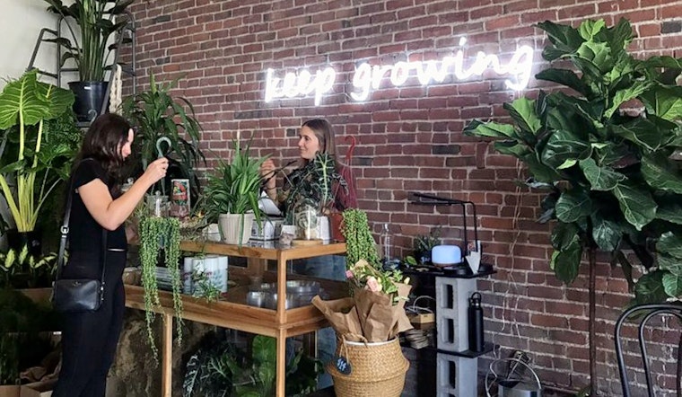 Boulevard Park gets a new plant nursery: Propagate