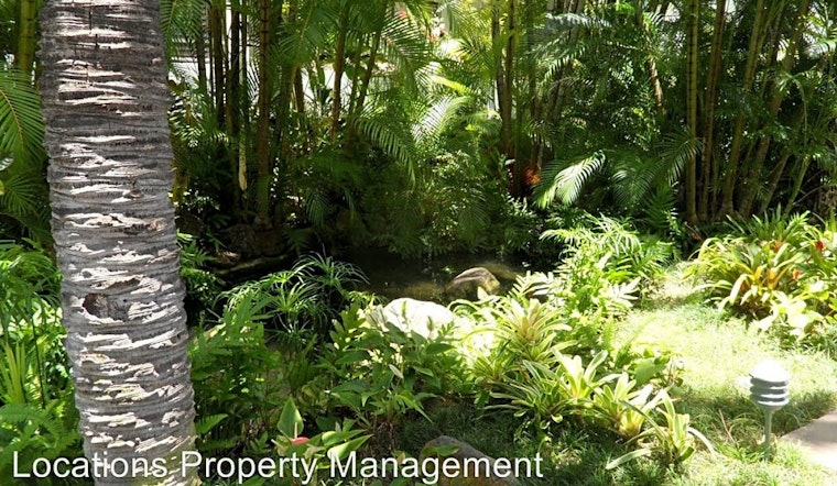 Apartments for rent in Honolulu: What will $4,200 get you?