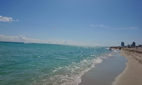Top Miami news: Tropical storm may coincide with king tides; suspect tries to enter condos; more