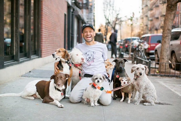 Dog-Friendly Café 'Boris & Horton' Opens In The East Village