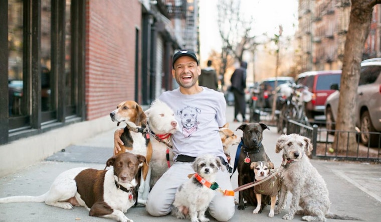 Dog-Friendly Café 'Boris & Horton' Opens In The East Village