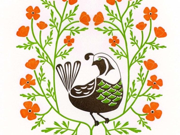 Toast to Dutch Door Press: Birds & Blooms of the 50 States