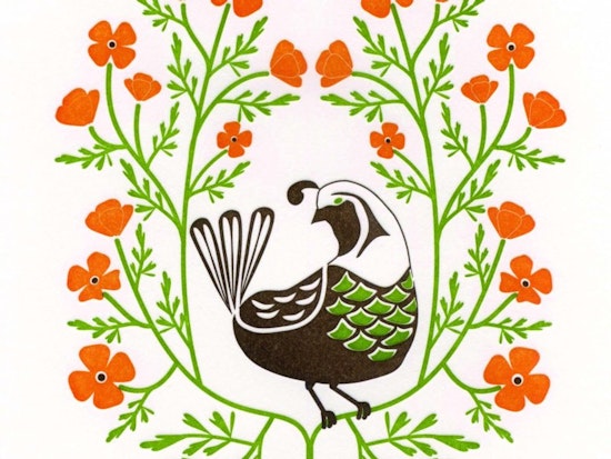 Toast to Dutch Door Press: Birds & Blooms of the 50 States