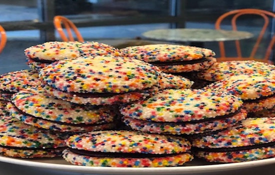 Check out the 3 newest businesses to debut in Tampa