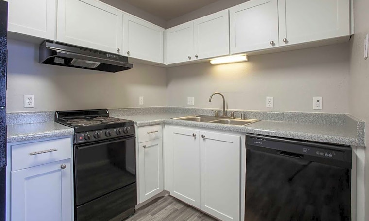 What apartments will $600 rent you in Trumbull Village, right now?