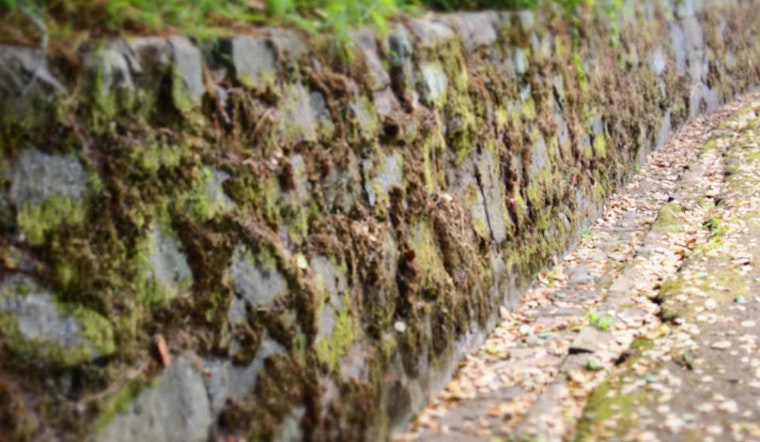 Buena Vista Park Area Residents Lay Groundwork For Green Benefit District
