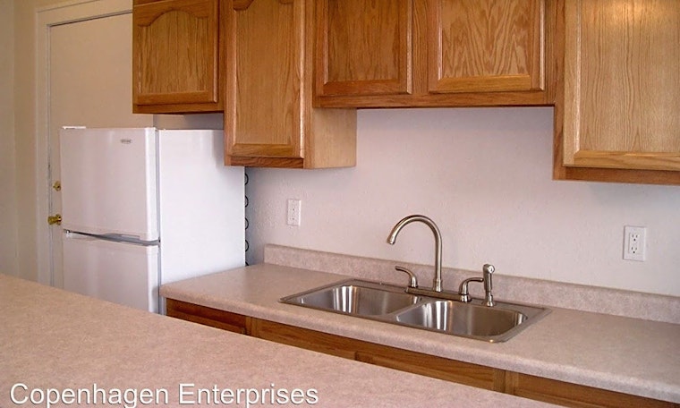 What apartments can you rent for $1,000 in Loring Park this month?