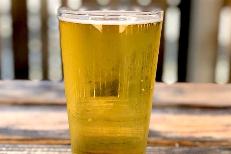 Celebrate National Drink Beer Day at San Jose's top beer destinations