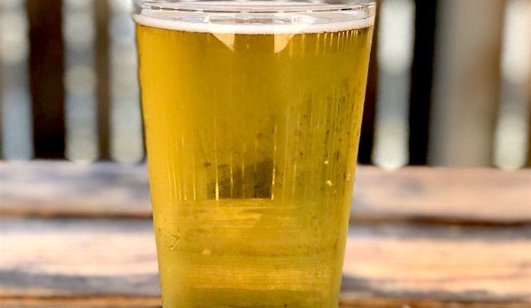 Celebrate National Drink Beer Day at San Jose's top beer destinations