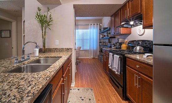 Apartments for rent in Saint Petersburg: What will $1,300 get you?