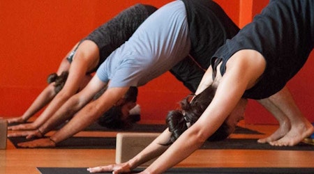 The 5 best yoga spots in Jersey City