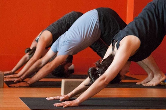 The 5 best yoga spots in Jersey City