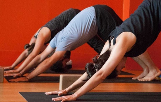 The 5 best yoga spots in Jersey City