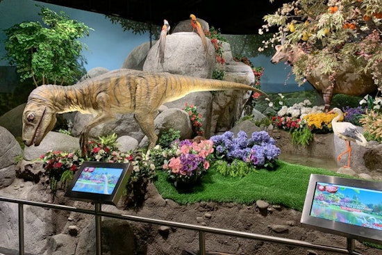 Preston Hollow gets a new museum: ICR Discovery Center for Science & Earth History