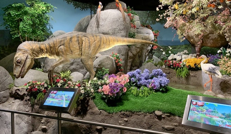 Preston Hollow gets a new museum: ICR Discovery Center for Science & Earth History