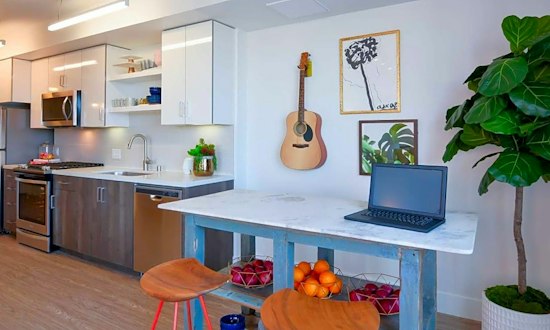 Apartments for rent in Berkeley: What will $3,600 get you?