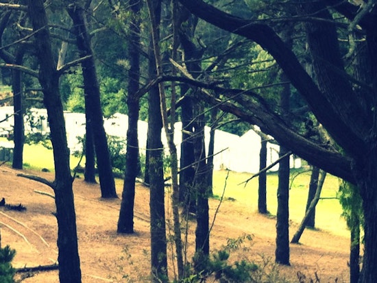 Hardly Strictly Around the Corner