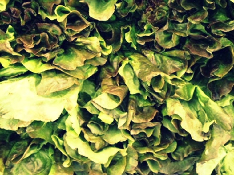 Farmers' Market Today