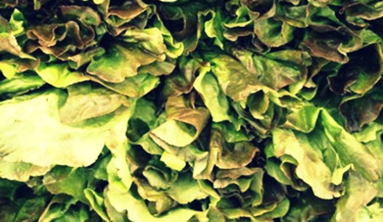 Farmers' Market Today