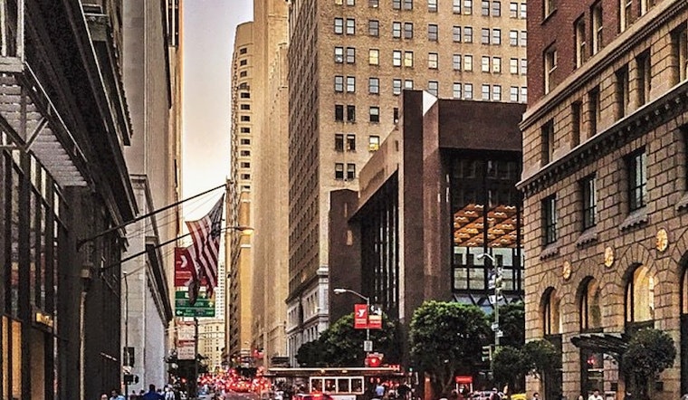 Top SF news: Humpback whale struck and killed by ship; Supes designate NRA domestic terrorists, more
