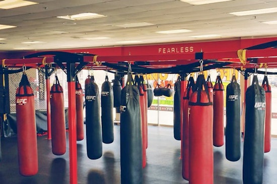 The 5 best martial art spots in Sunnyvale