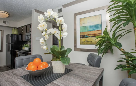 Apartments for rent in Arlington: What will $800 get you?