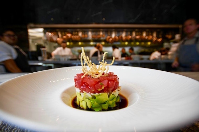 Fresh New American restaurant Nosh Bistro debuts in North Dallas