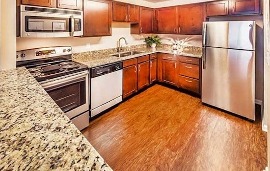 What apartments will $1,200 rent you in Hyde Park, this month?