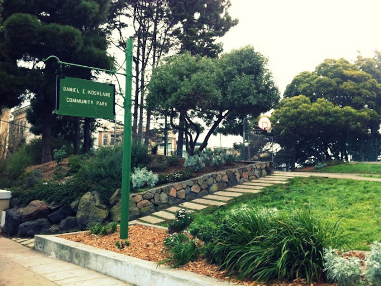 Garden Workday At Koshland Park