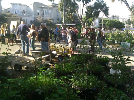 Earth Day Celebration at Hayes Valley Farm