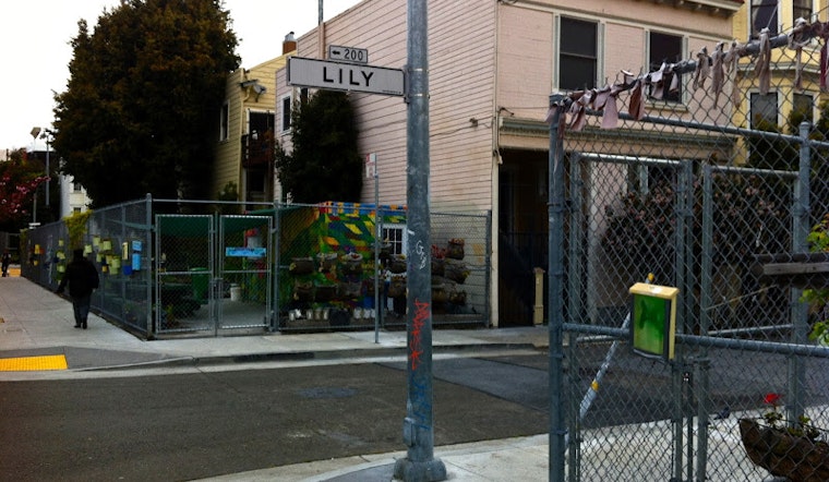 14th Annual Lily Street Block Sale
