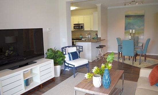 Apartments for rent in Saint Petersburg: What will $1,500 get you?