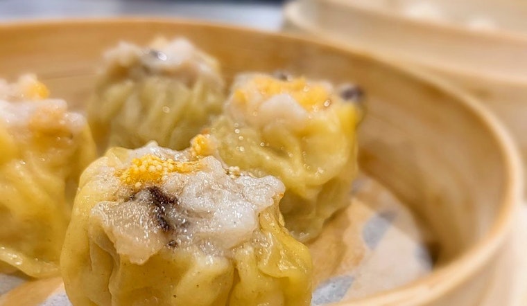 Get dim sum and more at Castro's new Dumpling House