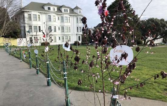 School Shooting Memorial Appears In Duboce Park