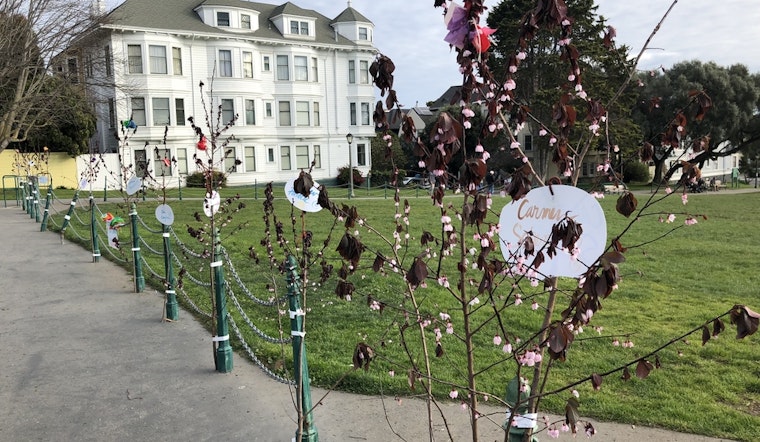 School Shooting Memorial Appears In Duboce Park