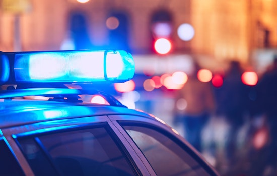 Tampa crime going down: Which offenses are leading the trend?