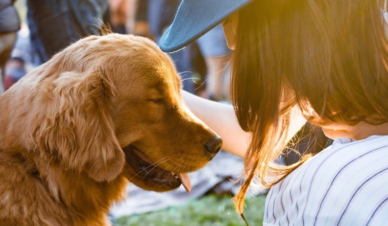 Go free this week with these 3 no-cost events in Nashville